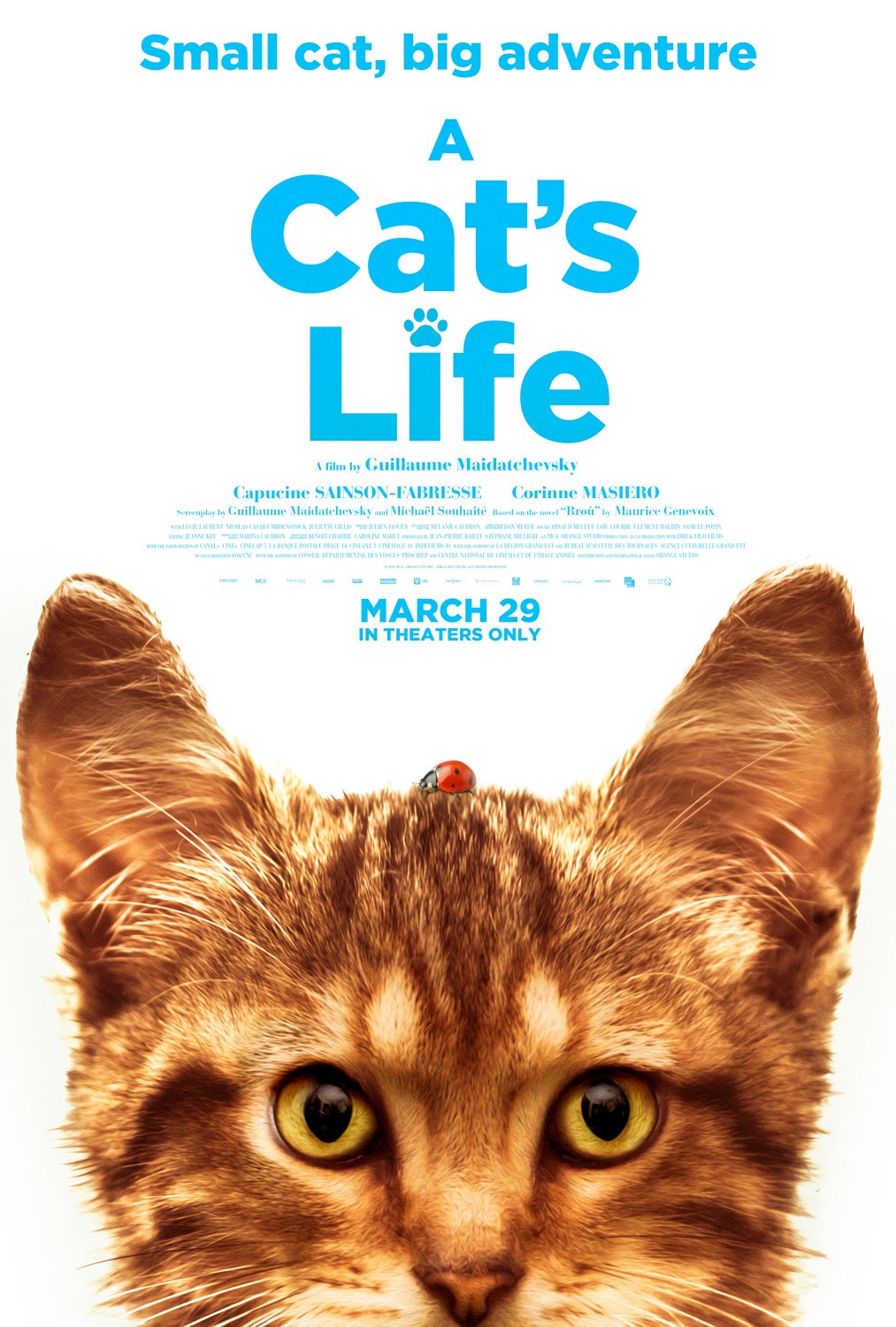A Cat's Life Pictures Rotten Tomatoes