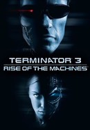 Terminator 3: Rise of the Machines poster image