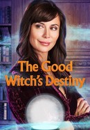 The Good Witch's Destiny poster image
