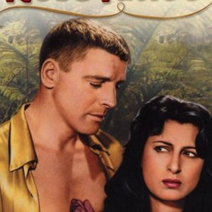 The Rose Tattoo - Rotten Tomatoes The Rose Tattoo - Rotten Tomatoes