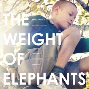 The Weight of Elephants photo 6