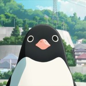 Penguin Highway - Rotten Tomatoes