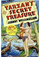 Tarzan's Secret Treasure poster image