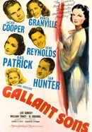 Gallant Sons poster image