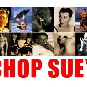 "Chop Suey photo 6"
