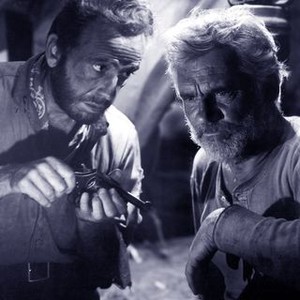 The Treasure of the Sierra Madre (1948) photo 19