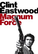Magnum Force poster image