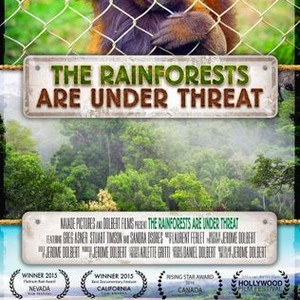 The Rainforests Are Under Threat photo 1