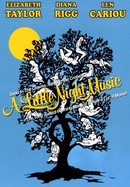A Little Night Music poster image