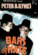 Bars of Hate poster image