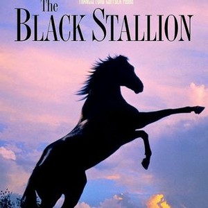 The Black Stallion - Rotten Tomatoes