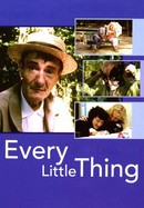 Every Little thing poster image