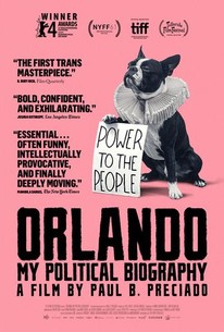 Orlando, My Political Biography