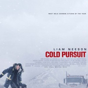 Cold Pursuit (2019) photo 20