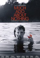 Much Ado About Nothing poster image