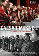 Caesar Must Die poster image