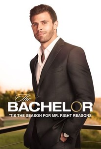 The Bachelor: Season 27 poster image