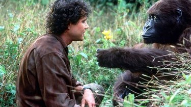 Congo | Rotten Tomatoes