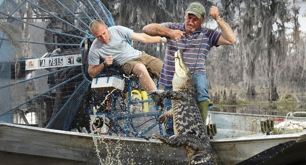 Swamp People: Blood and Guts: Season 5 | Rotten Tomatoes