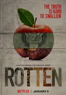 Rotten poster image