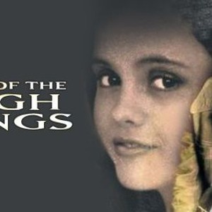 The Last of the High Kings photo 4