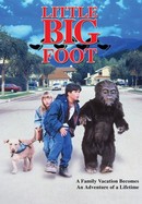 Little Bigfoot poster image