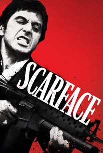  Scarface (1983) Hollywood 720p BluRay [Hindi Or English] Dual Audio x264 720p [1.4GB] Full Movie Download