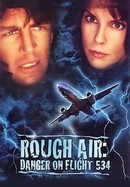 Rough Air: Danger on Flight 534 poster image