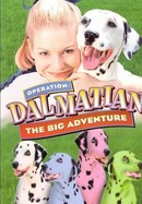 Operation Dalmatian: The Big Adventure poster image