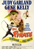 The Pirate poster image