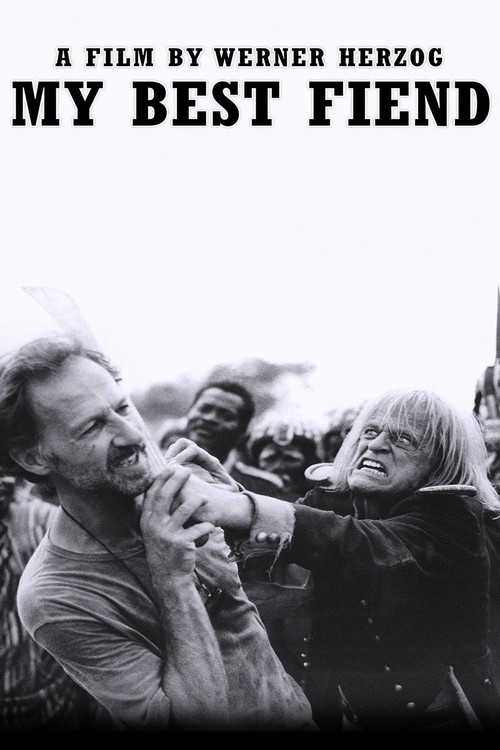 My Best Fiend poster