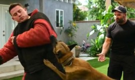 Dog: Official Clip - Playing With an Attack Dog photo 1