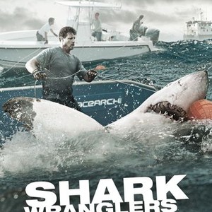 Shark Wranglers - Rotten Tomatoes