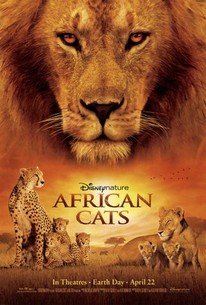 Poster for African Cats