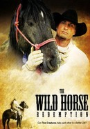 The Wild Horse Redemption poster image