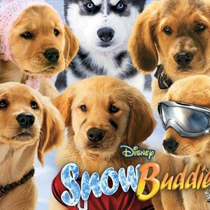 Snow Buddies - Rotten Tomatoes