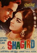 Shagird poster image