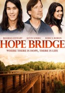 Hope Bridge poster image