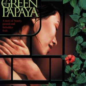 The Scent of Green Papaya (1993) photo 13