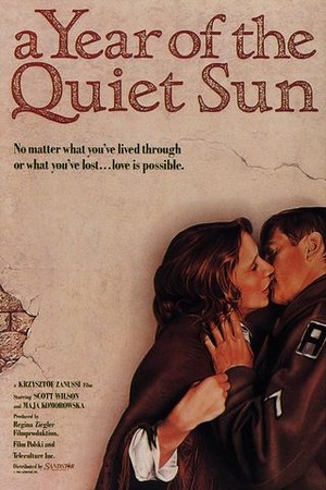 A Year of the Quiet Sun poster
