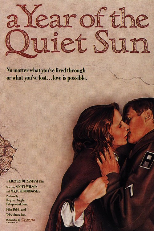A Year of the Quiet Sun poster