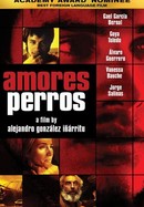 Amores perros poster image