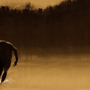 The Legend of Boggy Creek (1972) photo 4