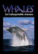 Whales poster image