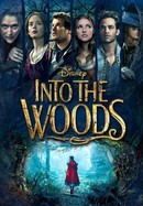 Into the Woods poster image