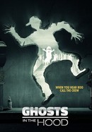 Ghosts in the Hood poster image