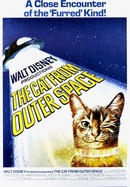 The Cat From Outer Space poster image