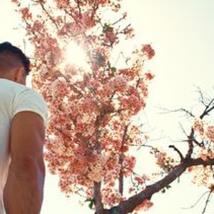 In Full Bloom Rotten Tomatoes