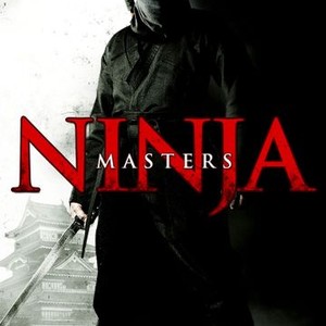 Ninja Masters photo 6