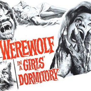 Werewolf in a Girls' Dormitory photo 4